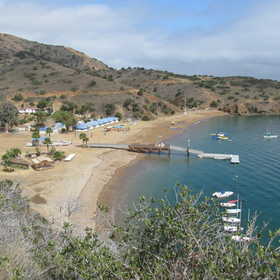 Photo 1 for Catalina Island Camps